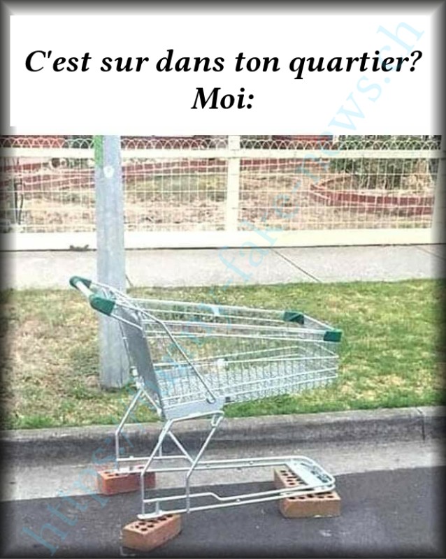 ffn_caddy.jpg (308.19 Kio) Consulté 247365 fois ffn_caddy.jpg