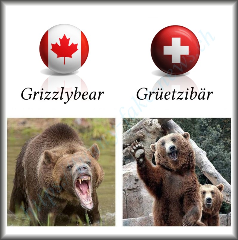 ffn_grizzly.jpg