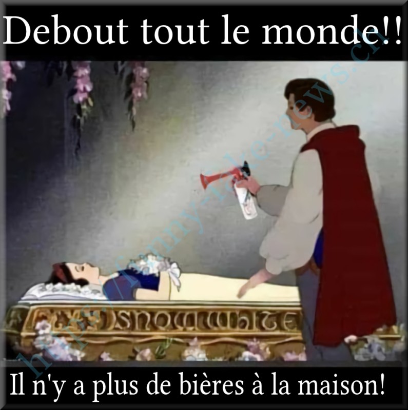 ffn_bieres.jpg (426.76 Kio) Consulté 190321 fois ffn_bieres.jpg